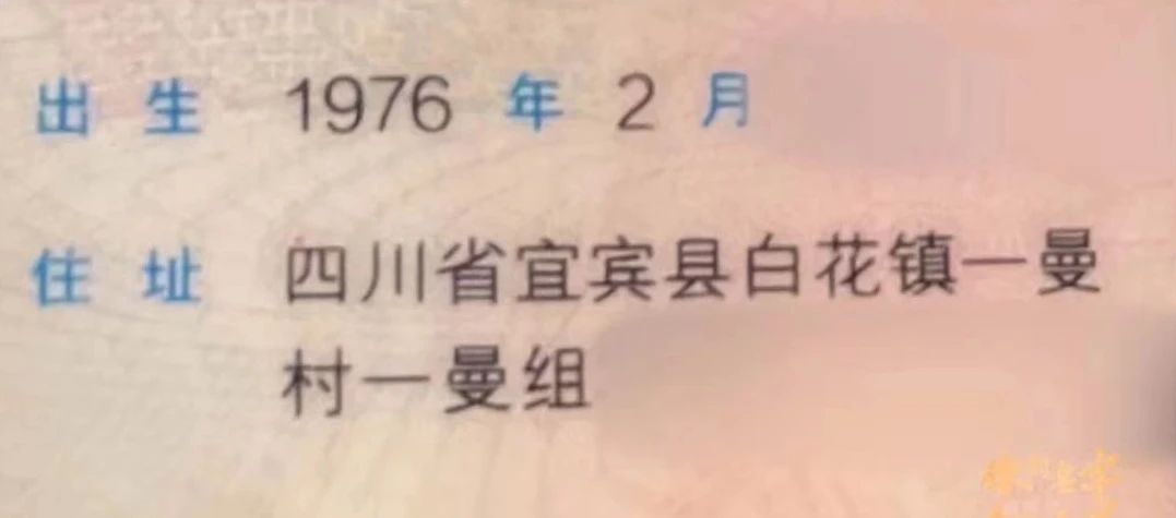 PP电子模拟器(试玩游戏)官方网站