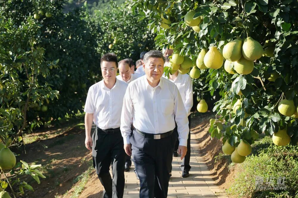 PP电子模拟器(试玩游戏)官方网站